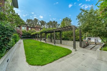 A sunny day at a park with a wooden pergola.